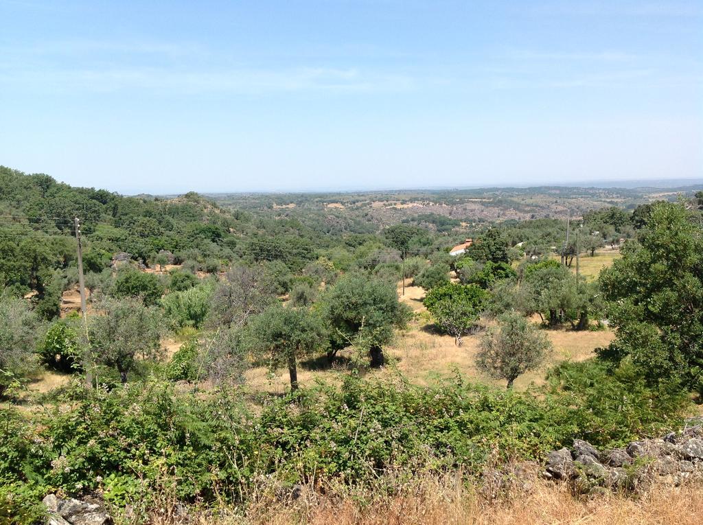Refugio Da Maceira Villa Marvão Kültér fotó